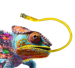 fałszywe reklamy inwestycyjne