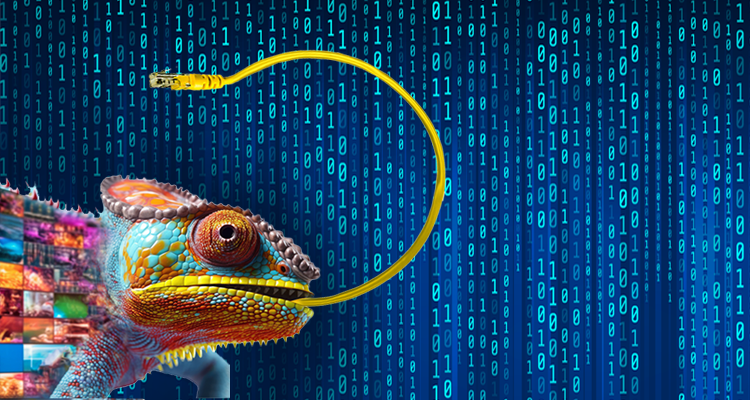 ost cyber inwestycje